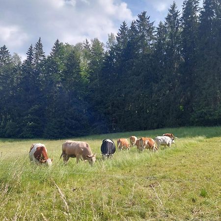 Ferienhaus Rosemarie Erlbach Vogtland Eksteriør bilde